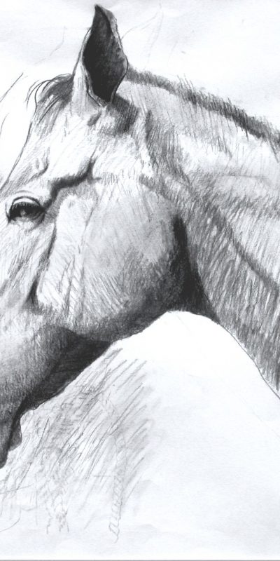 Charcoal on paper