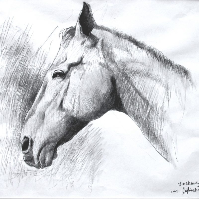 Charcoal on paper